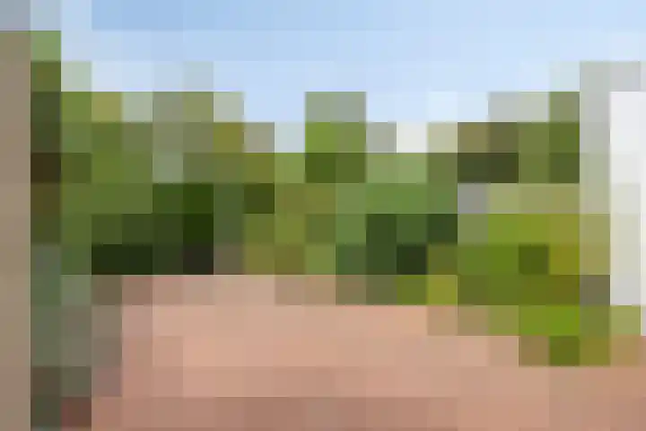 Velijndonk 10 Maastricht thumbnail 28