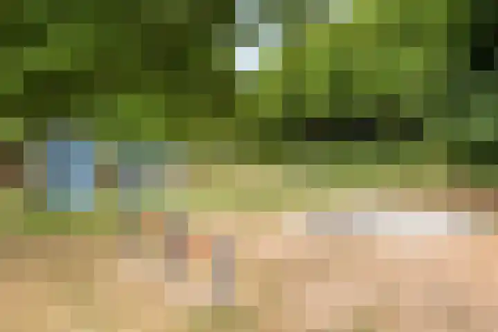 Velijndonk 10 Maastricht thumbnail 32