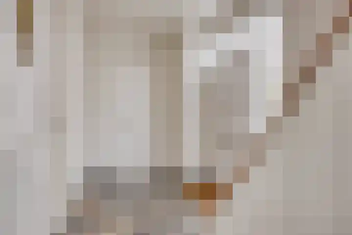Velijndonk 10 Maastricht thumbnail 5