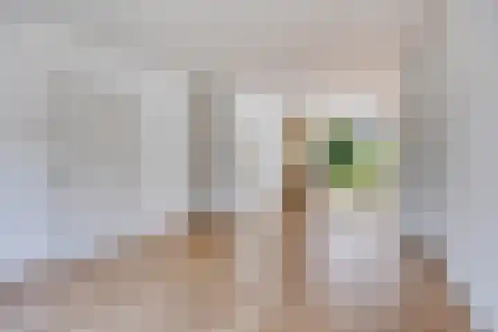 Velijndonk 10 Maastricht thumbnail 7