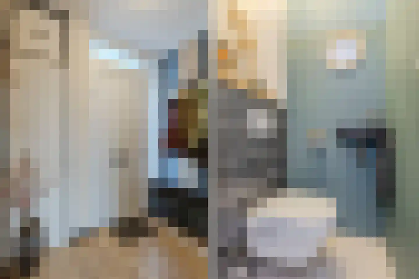 Veliusstraat 7 Tilburg thumbnail 10