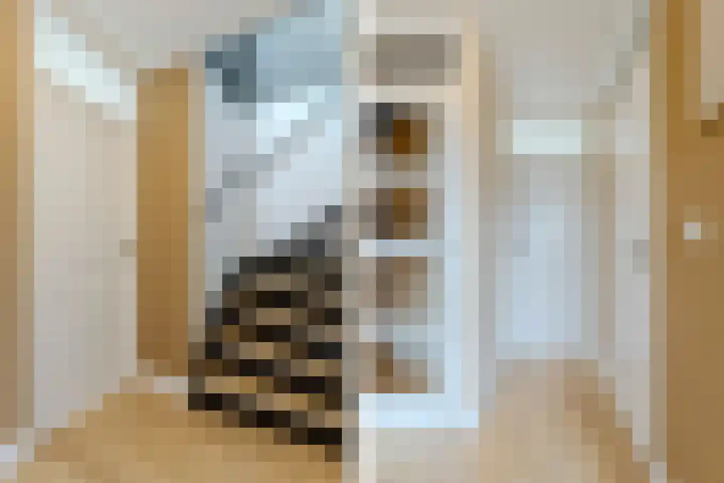 Veliusstraat 7 Tilburg thumbnail 11