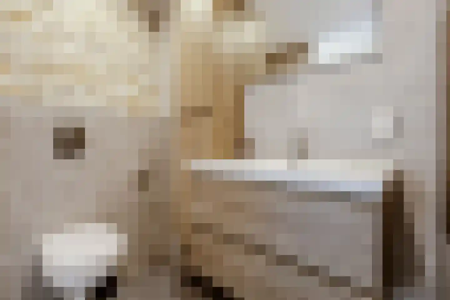 Veliusstraat 7 Tilburg thumbnail 21