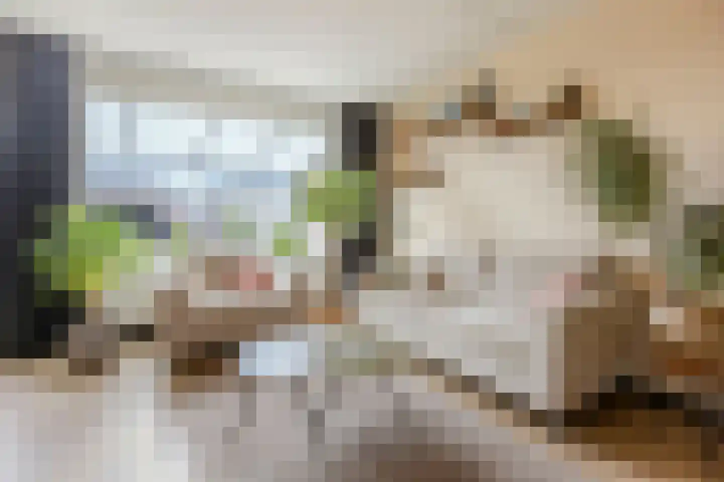Veliusstraat 7 Tilburg thumbnail 5