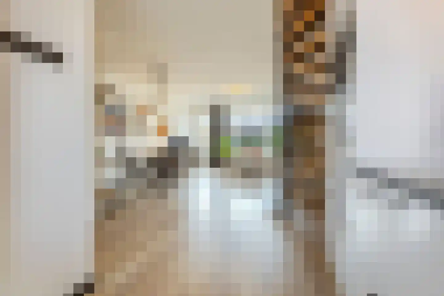 Veliusstraat 7 Tilburg thumbnail 7