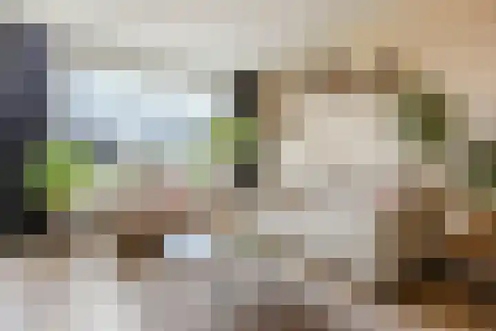 Veliusstraat 7 Tilburg thumbnail 7