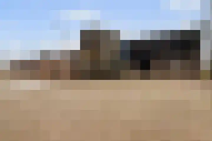 Velkemeensedijk 25 Kootwijkerbroek thumbnail 32