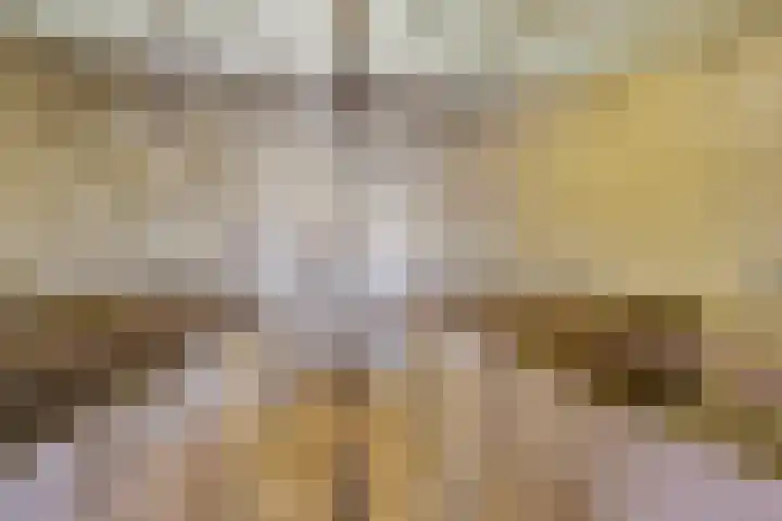 Velkemeensedijk 25 Kootwijkerbroek thumbnail 33