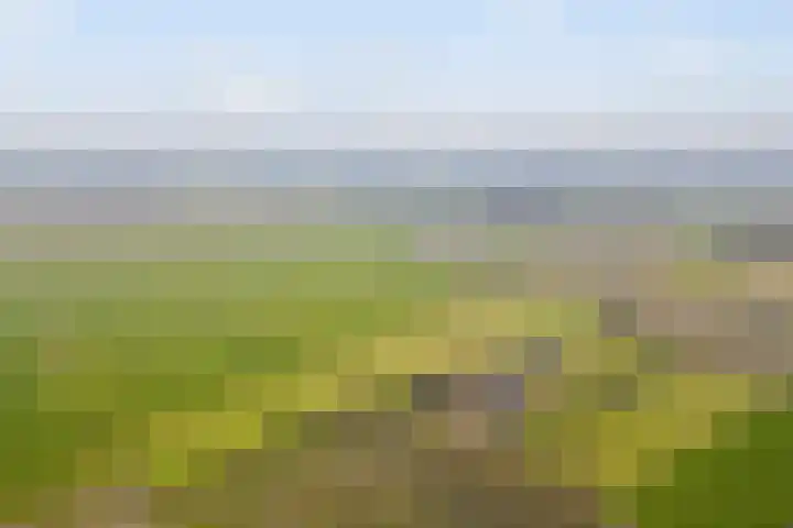 Velkemeensedijk 25 Kootwijkerbroek thumbnail 36