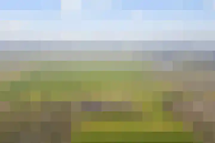 Velkemeensedijk 25 Kootwijkerbroek thumbnail 37