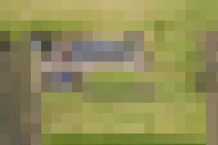 Velkemeensedijk 25 Kootwijkerbroek thumbnail 38