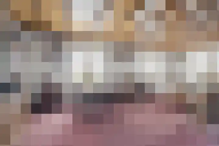 Velkemeensedijk 25 Kootwijkerbroek thumbnail 6