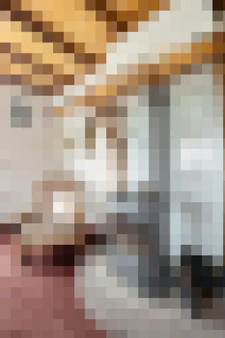 Velkemeensedijk 25 Kootwijkerbroek thumbnail 8