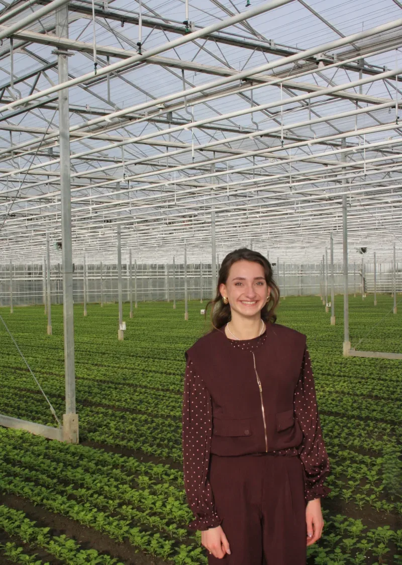 Kantoor foto van Vellekoop Makelaardij-Onteigeningszaken