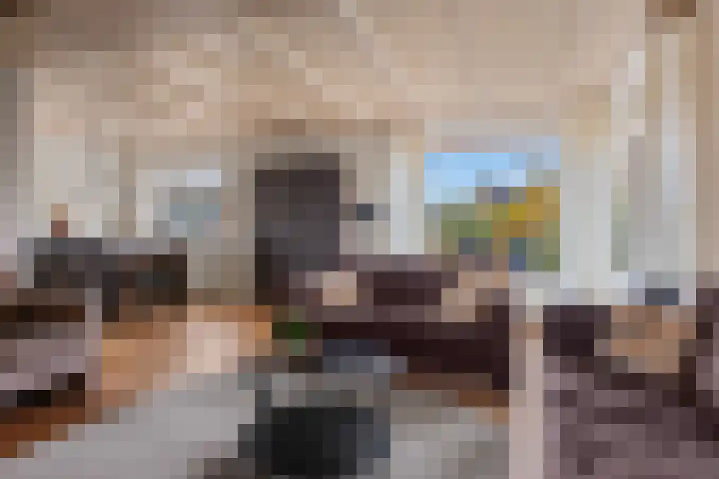 Vellengastraat 2 Zwartebroek thumbnail 12