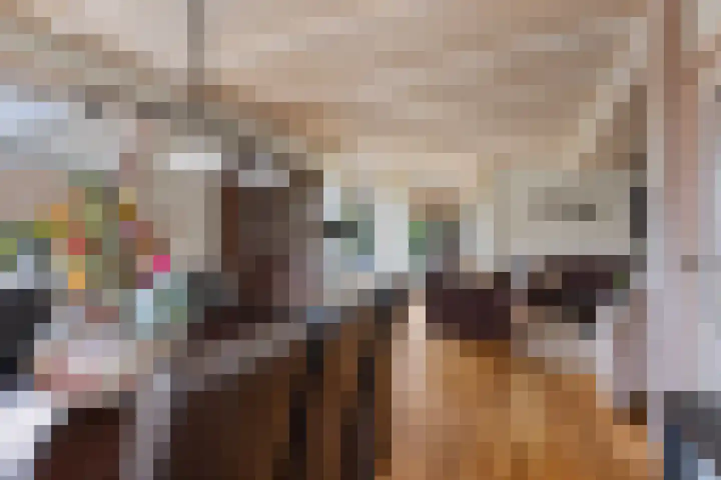 Vellengastraat 2 Zwartebroek thumbnail 15