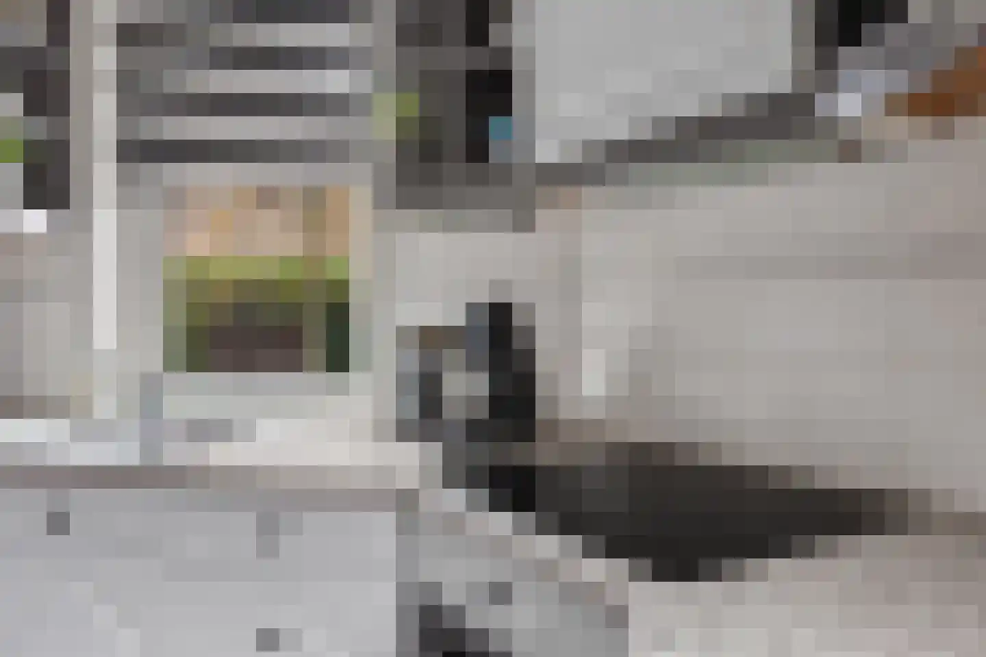 Vellengastraat 2 Zwartebroek thumbnail 17