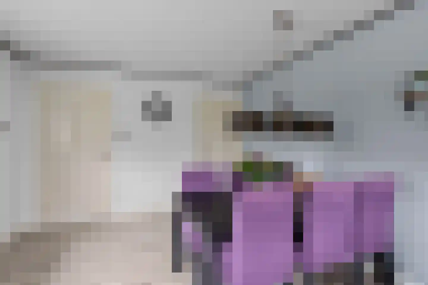 Vellengastraat 2 Zwartebroek thumbnail 19