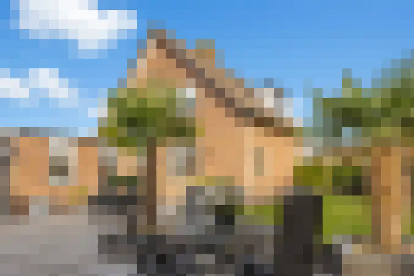 Vellengastraat 2 Zwartebroek thumbnail 50