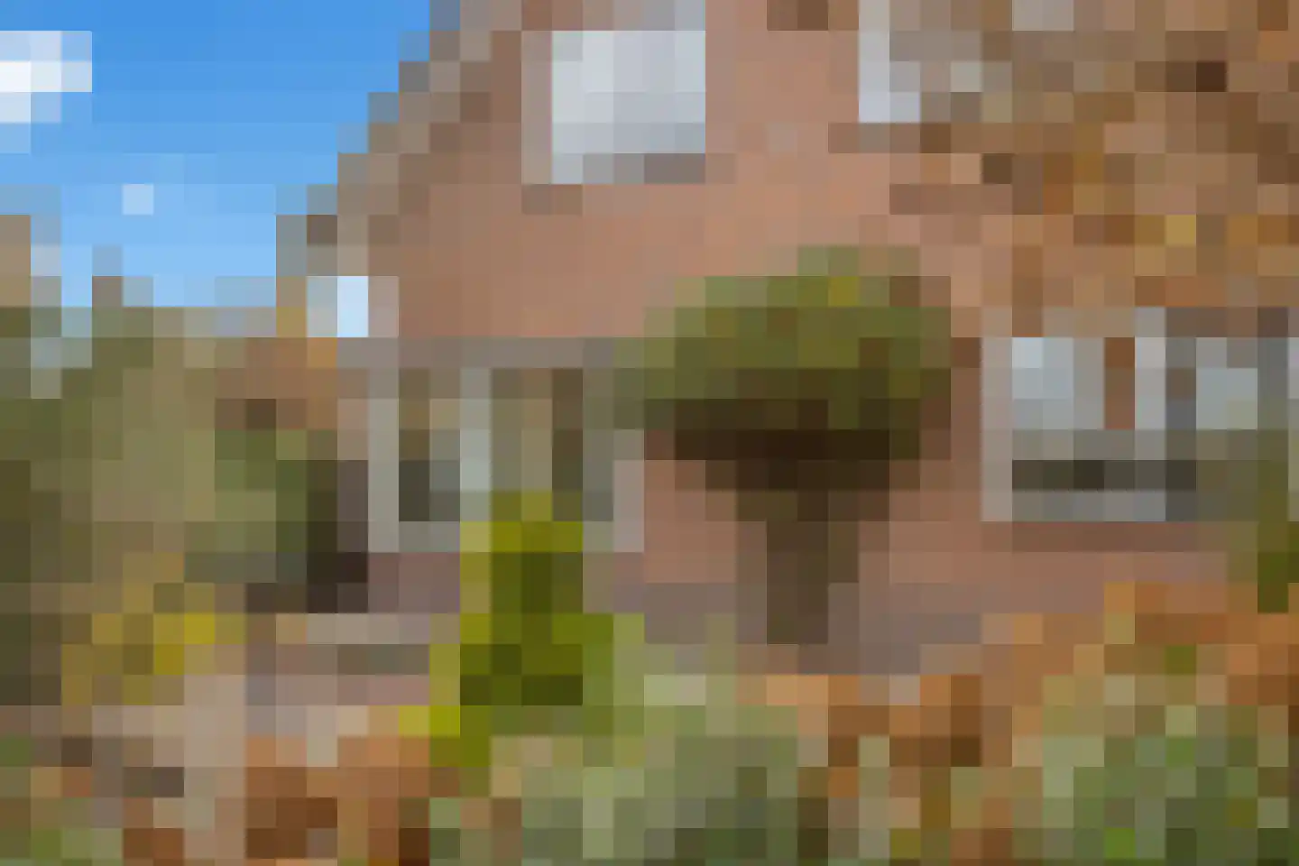 Vellengastraat 2 Zwartebroek thumbnail 62
