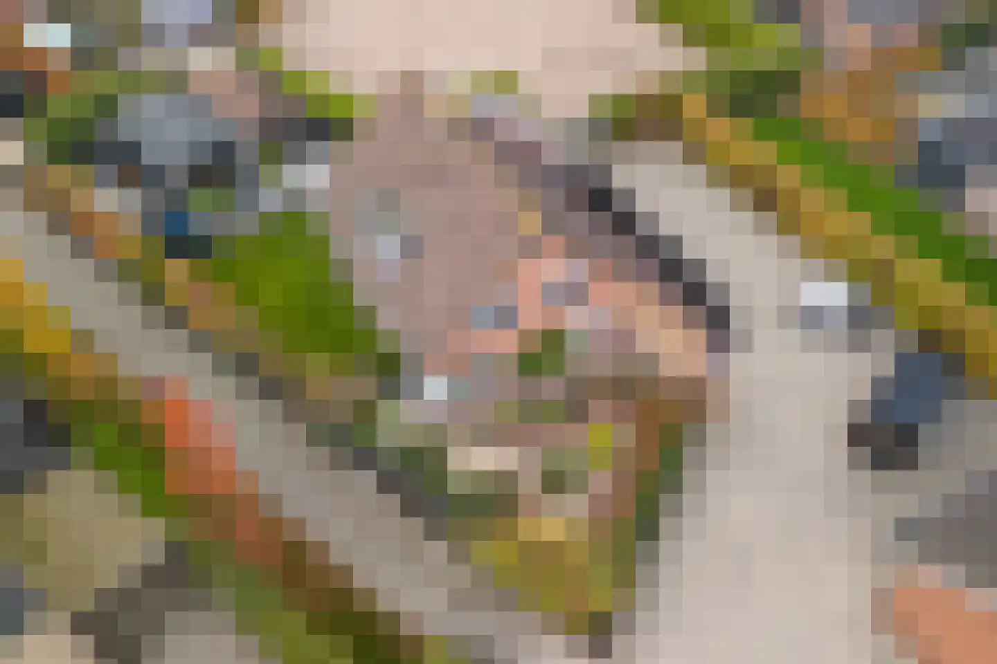 Vellengastraat 2 Zwartebroek thumbnail 64