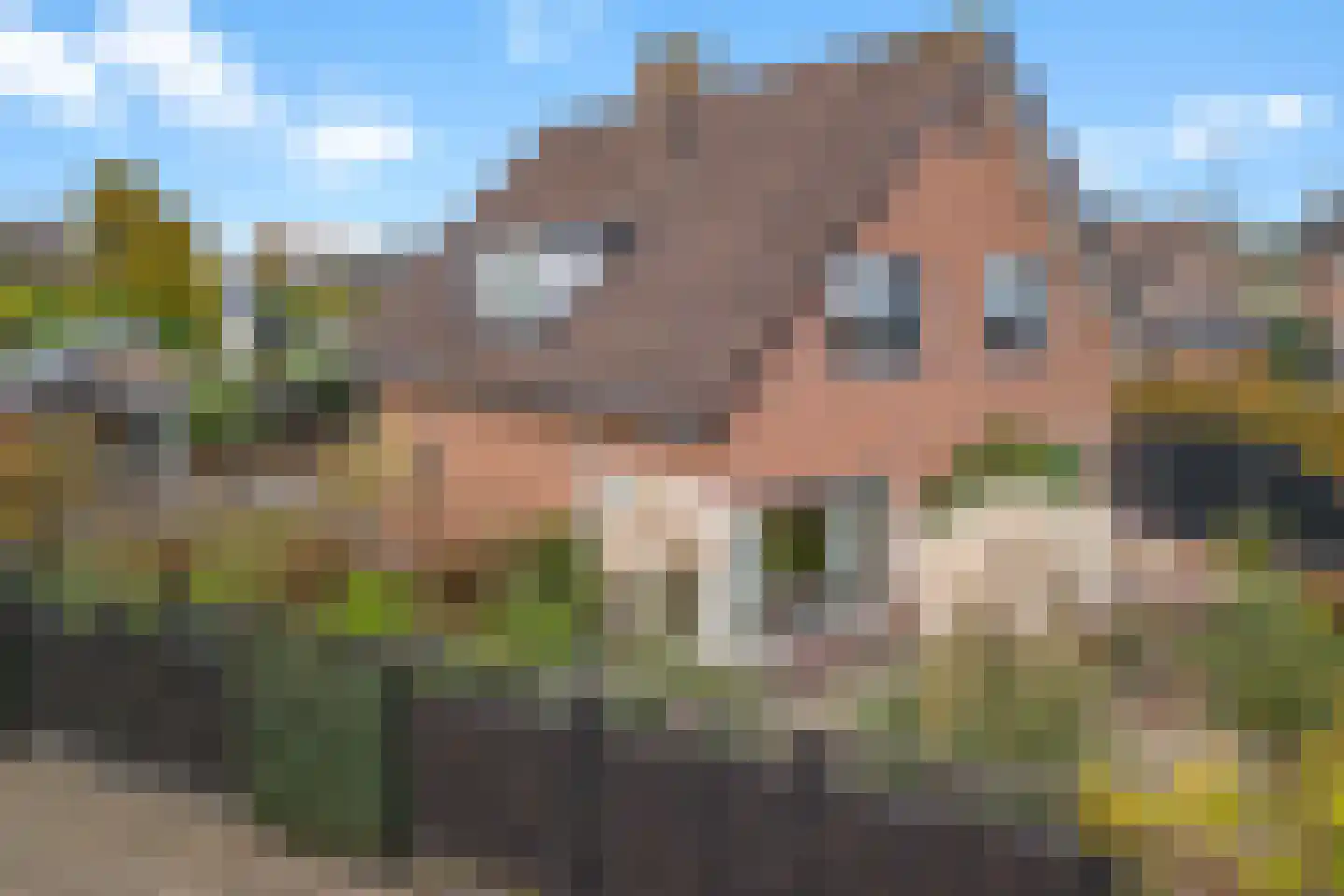 Vellengastraat 2 Zwartebroek thumbnail 65