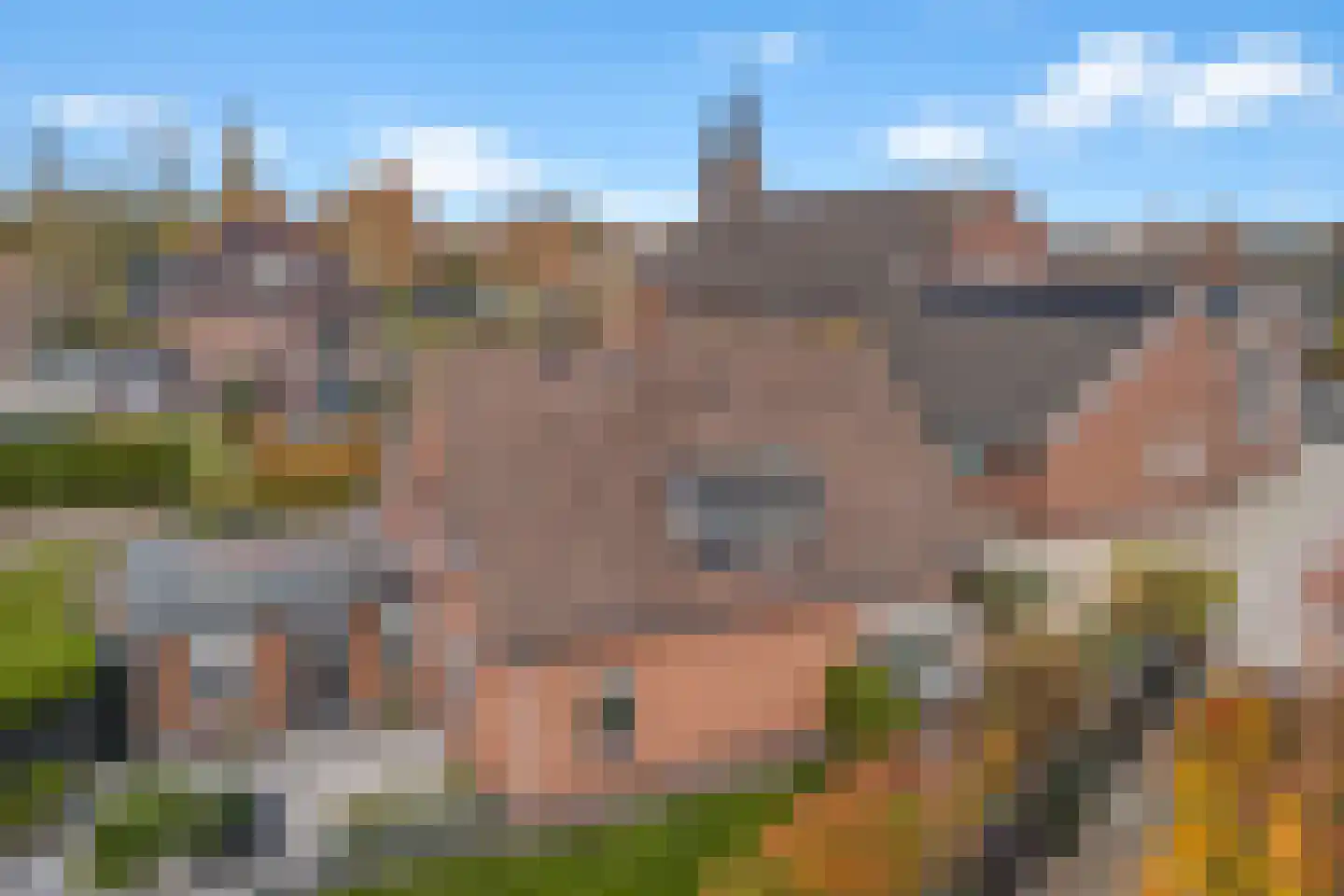 Vellengastraat 2 Zwartebroek thumbnail 66
