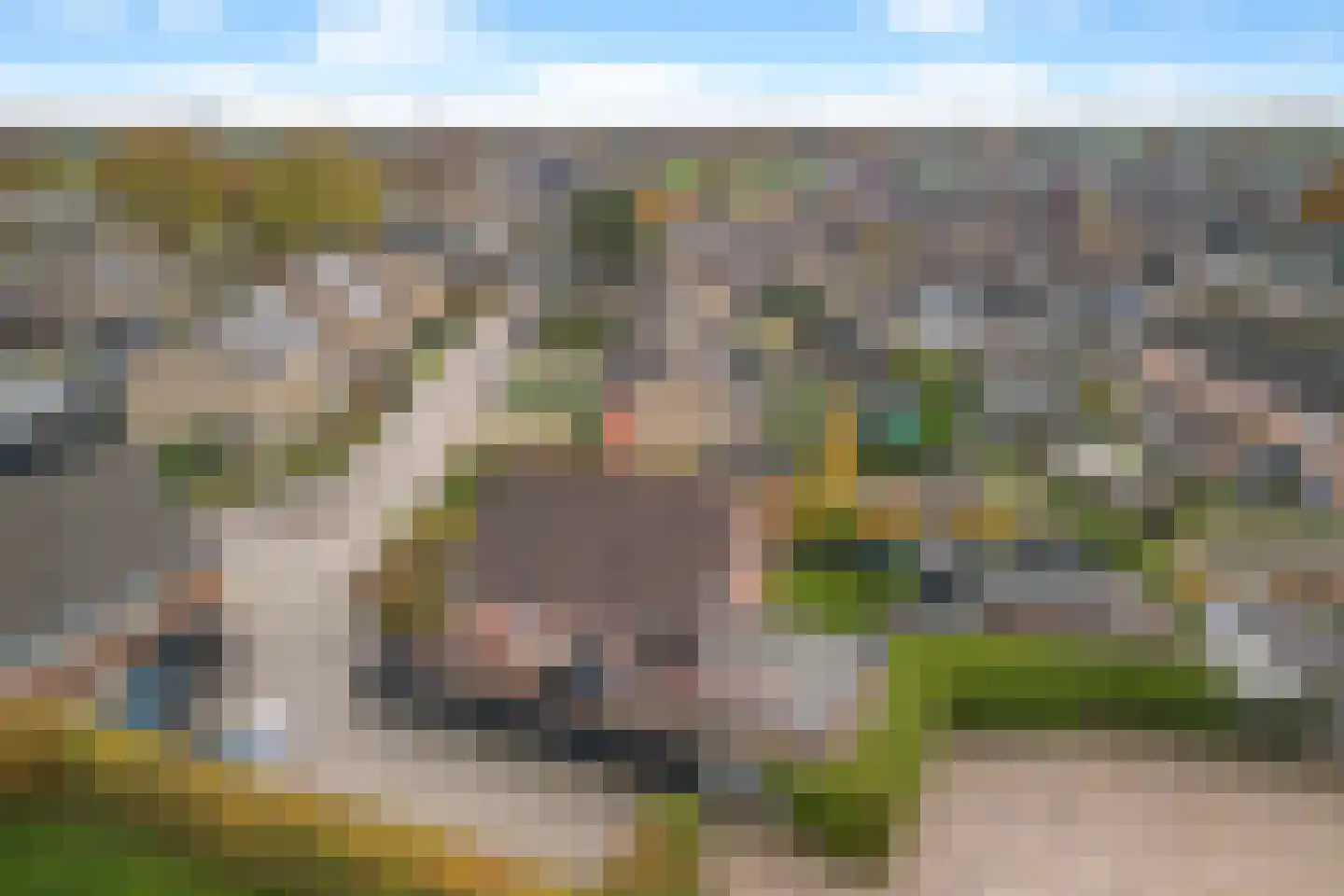 Vellengastraat 2 Zwartebroek thumbnail 69