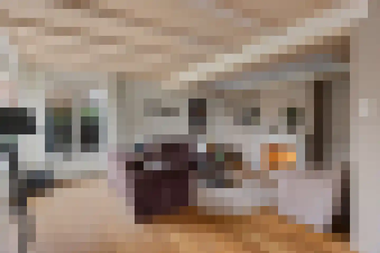 Vellengastraat 2 Zwartebroek thumbnail 7