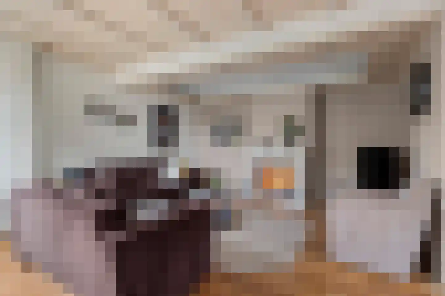 Vellengastraat 2 Zwartebroek thumbnail 8