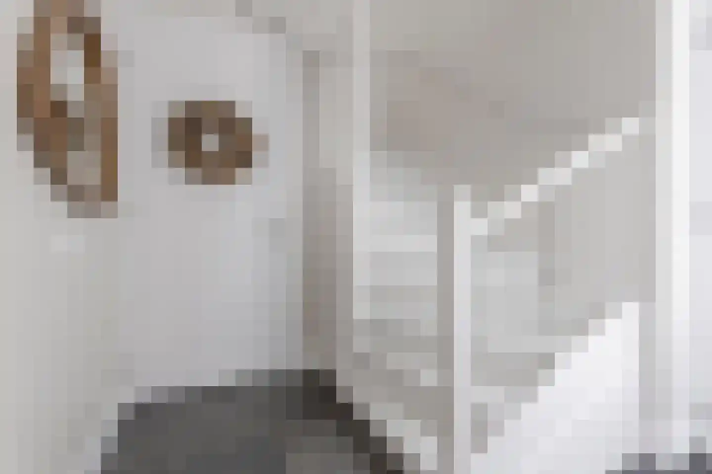 Vellerselaan 4 Barneveld thumbnail 28
