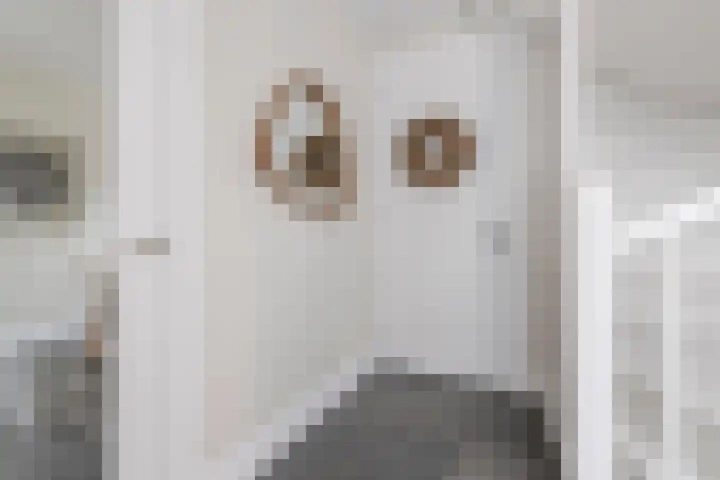 Vellerselaan 4 Barneveld thumbnail 4