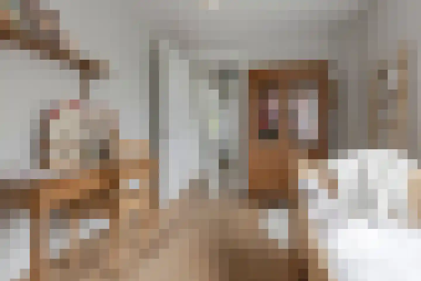 Vellerselaan 4 Barneveld thumbnail 41