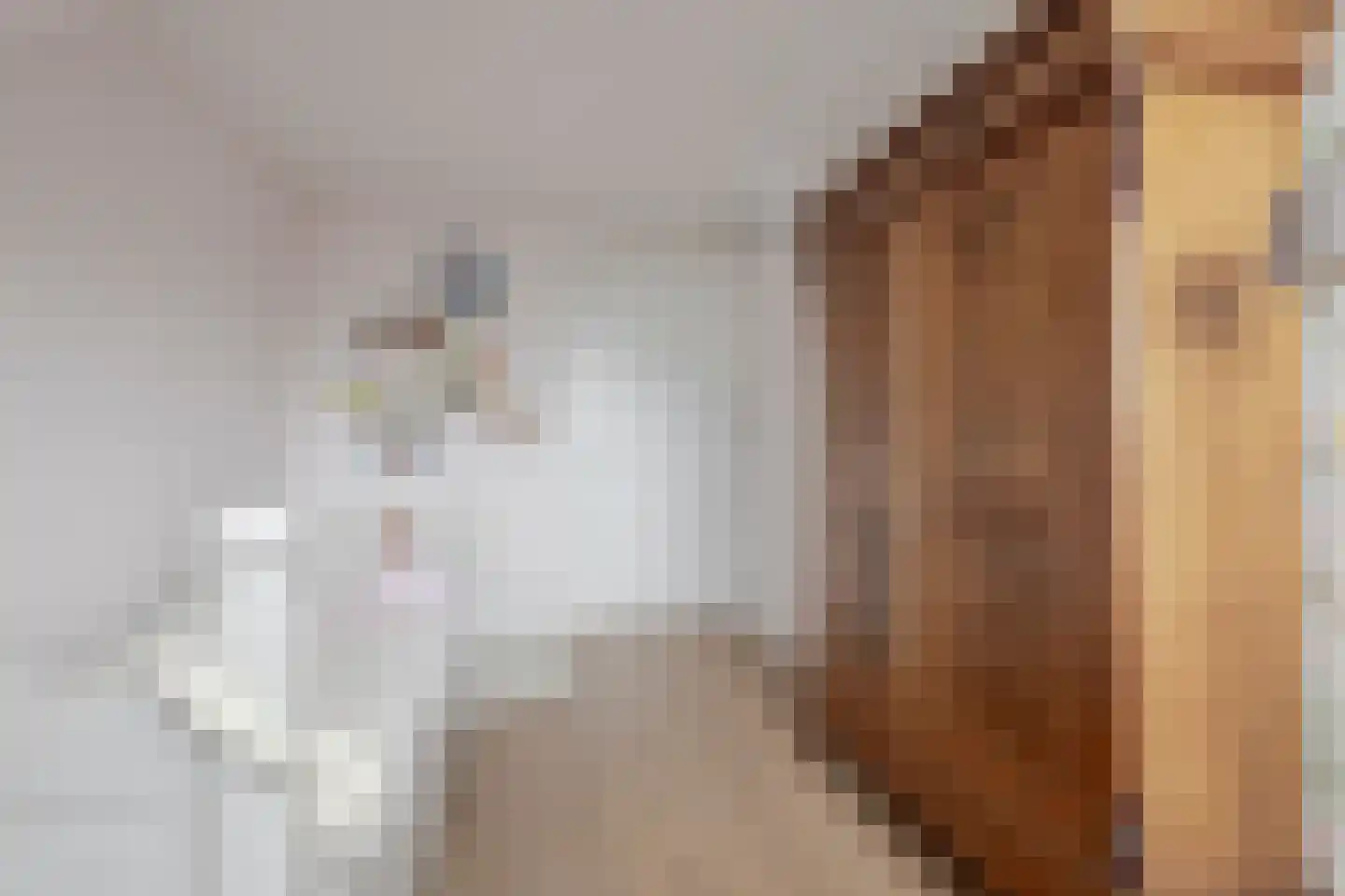 Vellerselaan 4 Barneveld thumbnail 50