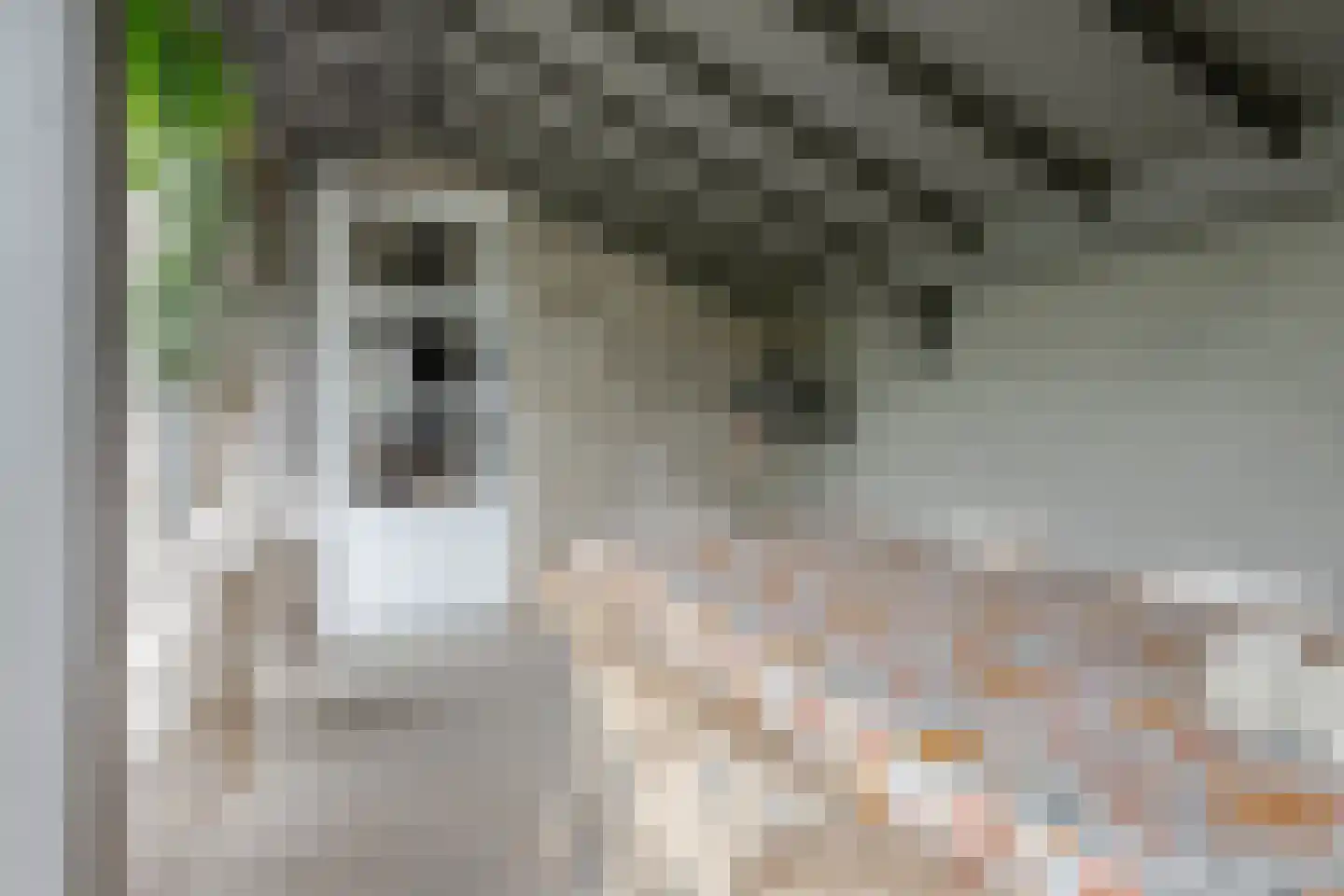 Vellerselaan 4 Barneveld thumbnail 52