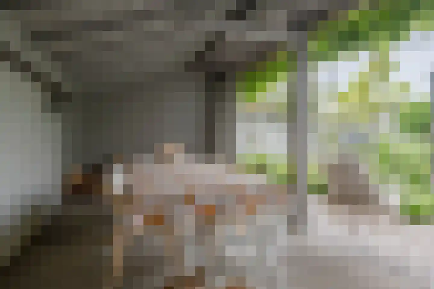 Vellerselaan 4 Barneveld thumbnail 53