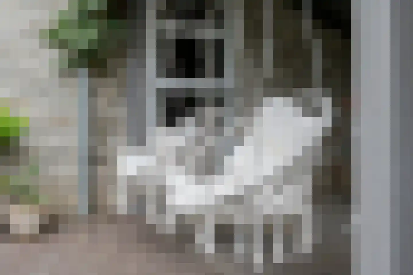Vellerselaan 4 Barneveld thumbnail 54