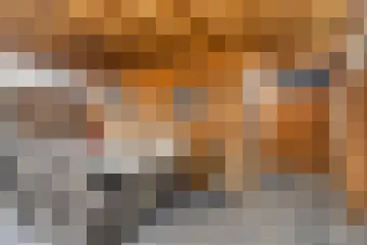 Vellerselaan 56 Barneveld thumbnail 33