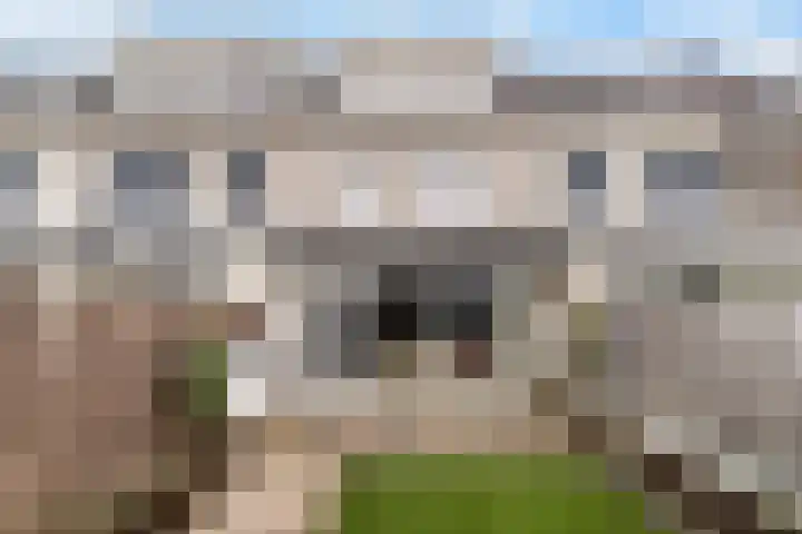 Vellerselaan 56 Barneveld thumbnail 34
