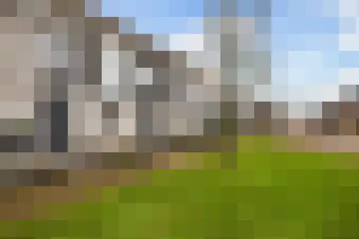 Vellerselaan 56 Barneveld thumbnail 35