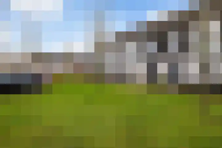 Vellerselaan 56 Barneveld thumbnail 36