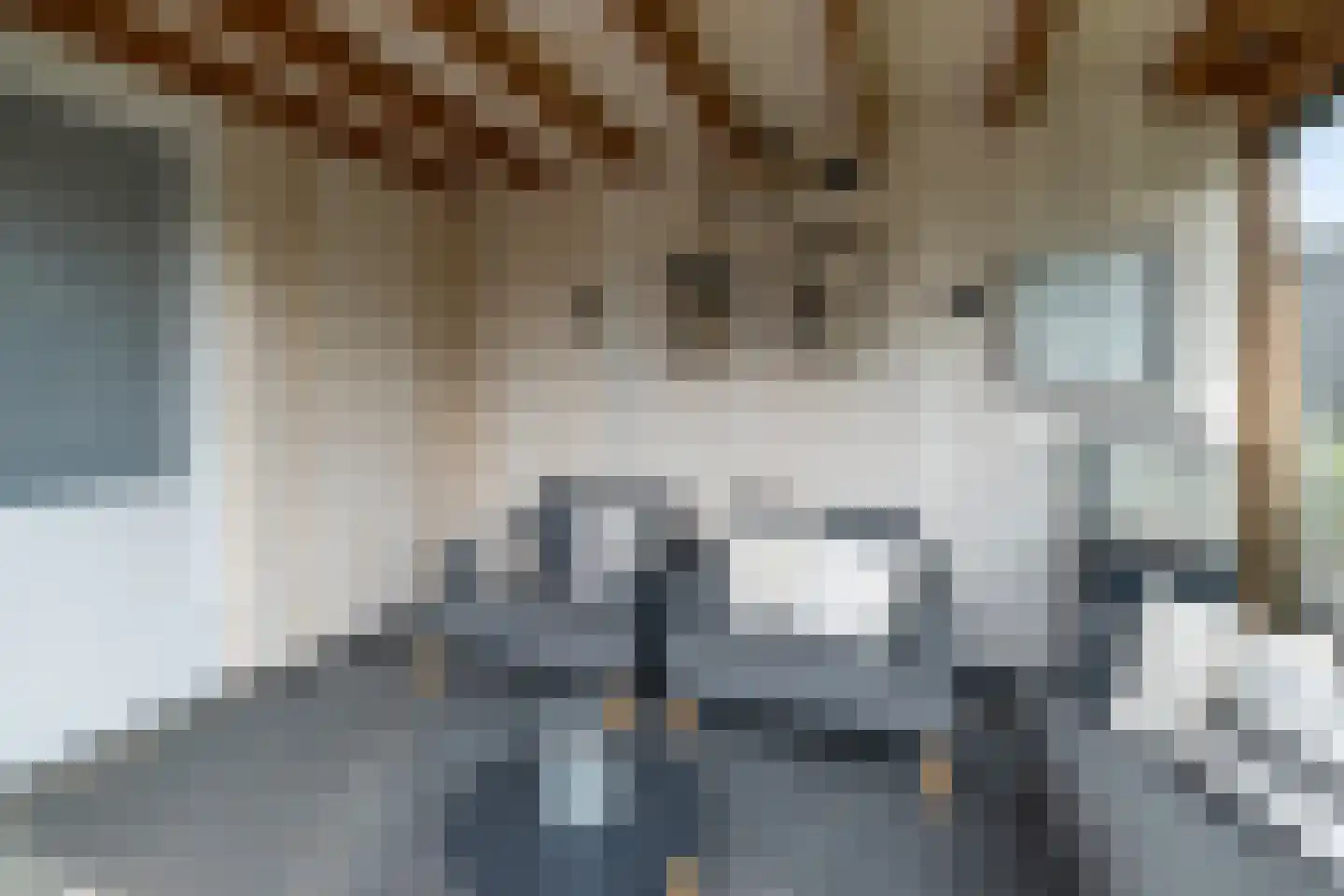 Vellerselaan 68 Barneveld thumbnail 38