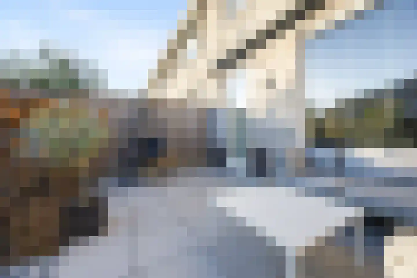 Vellerselaan 94 Barneveld thumbnail 31