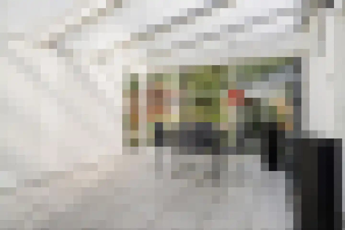 Velletriweg 30 Oudenbosch thumbnail 30