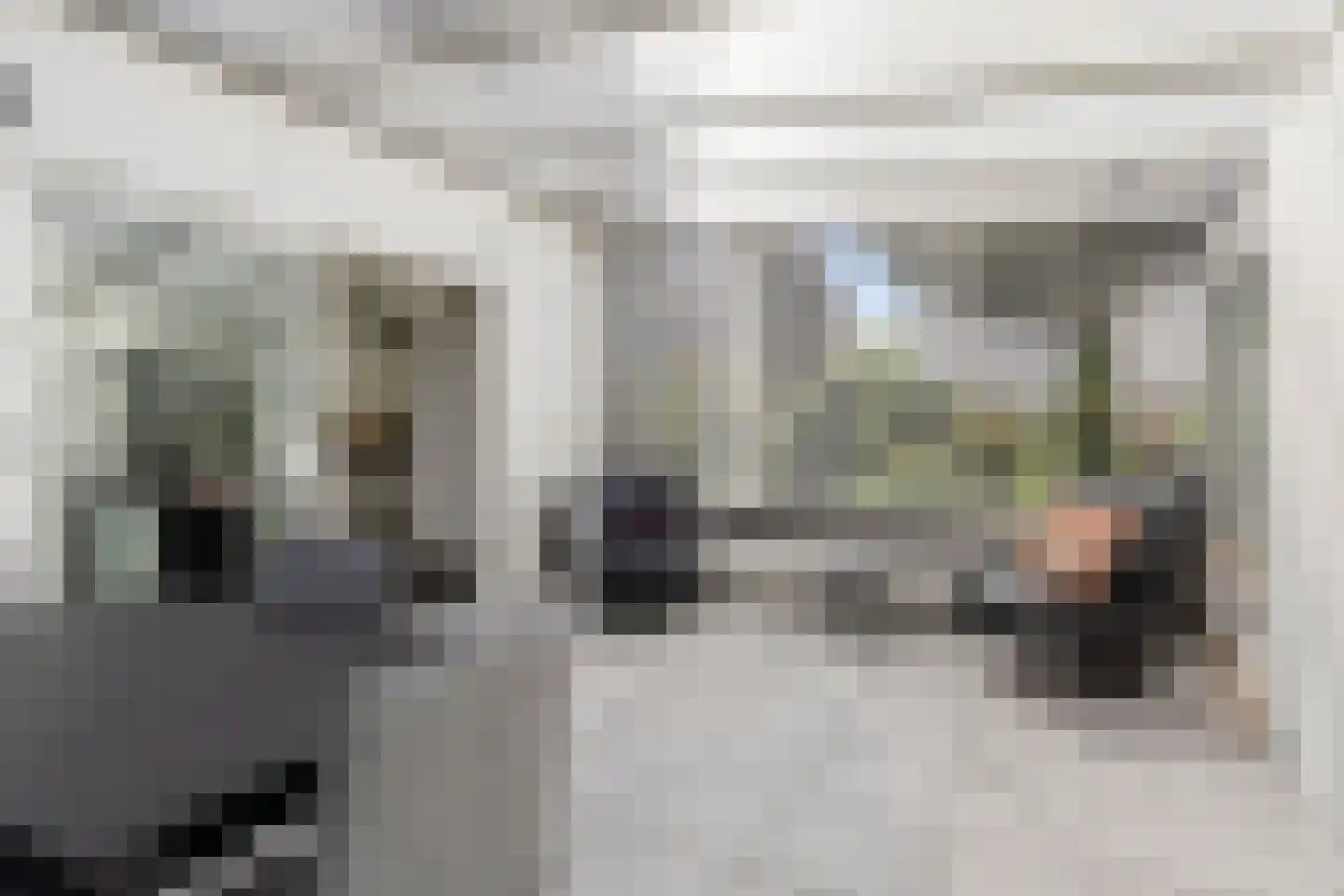Velletriweg 30 Oudenbosch thumbnail 31