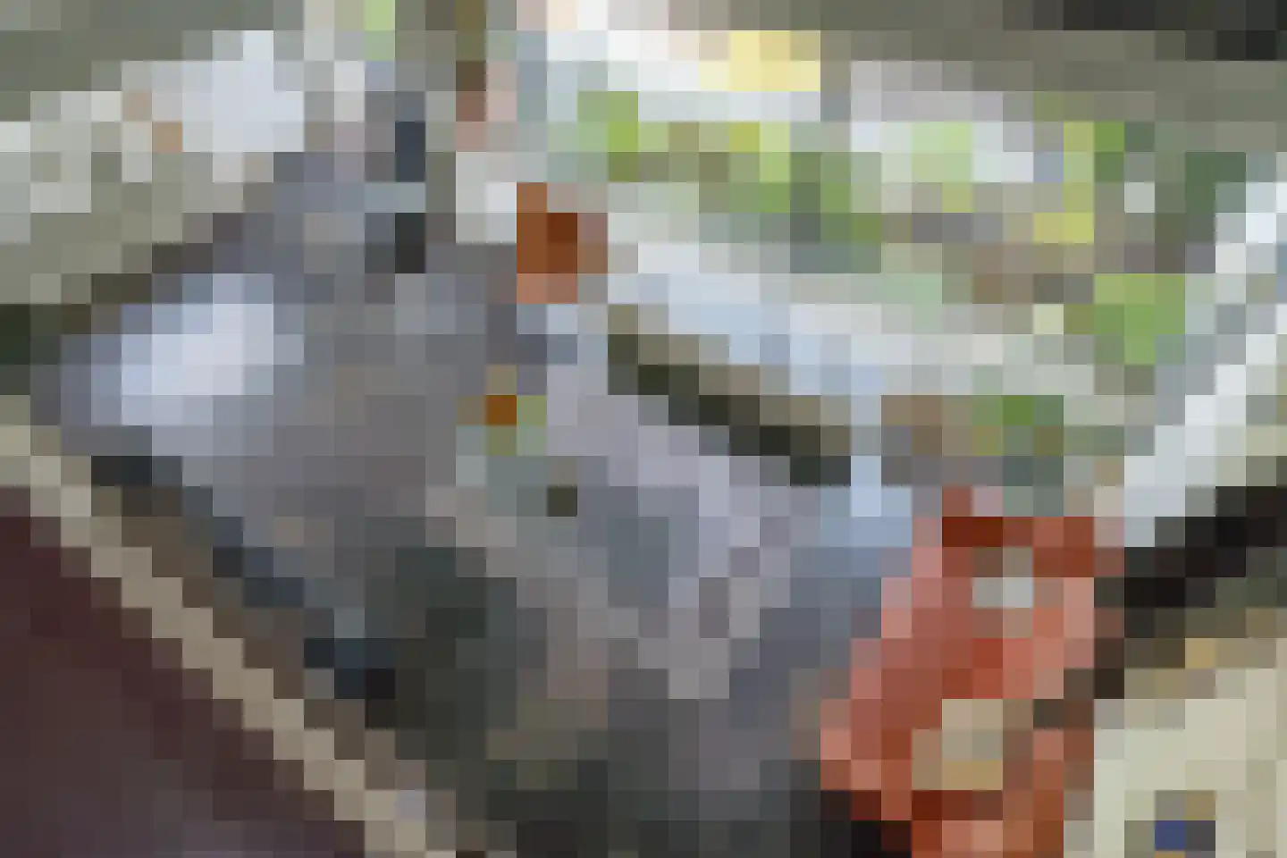 Velletriweg 30 Oudenbosch thumbnail 53