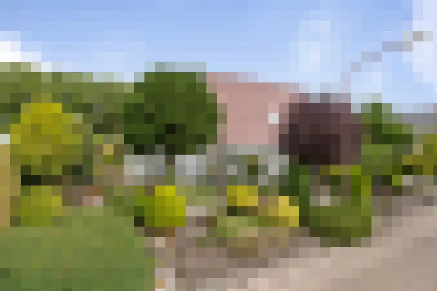 Velletriweg 30 Oudenbosch thumbnail 8