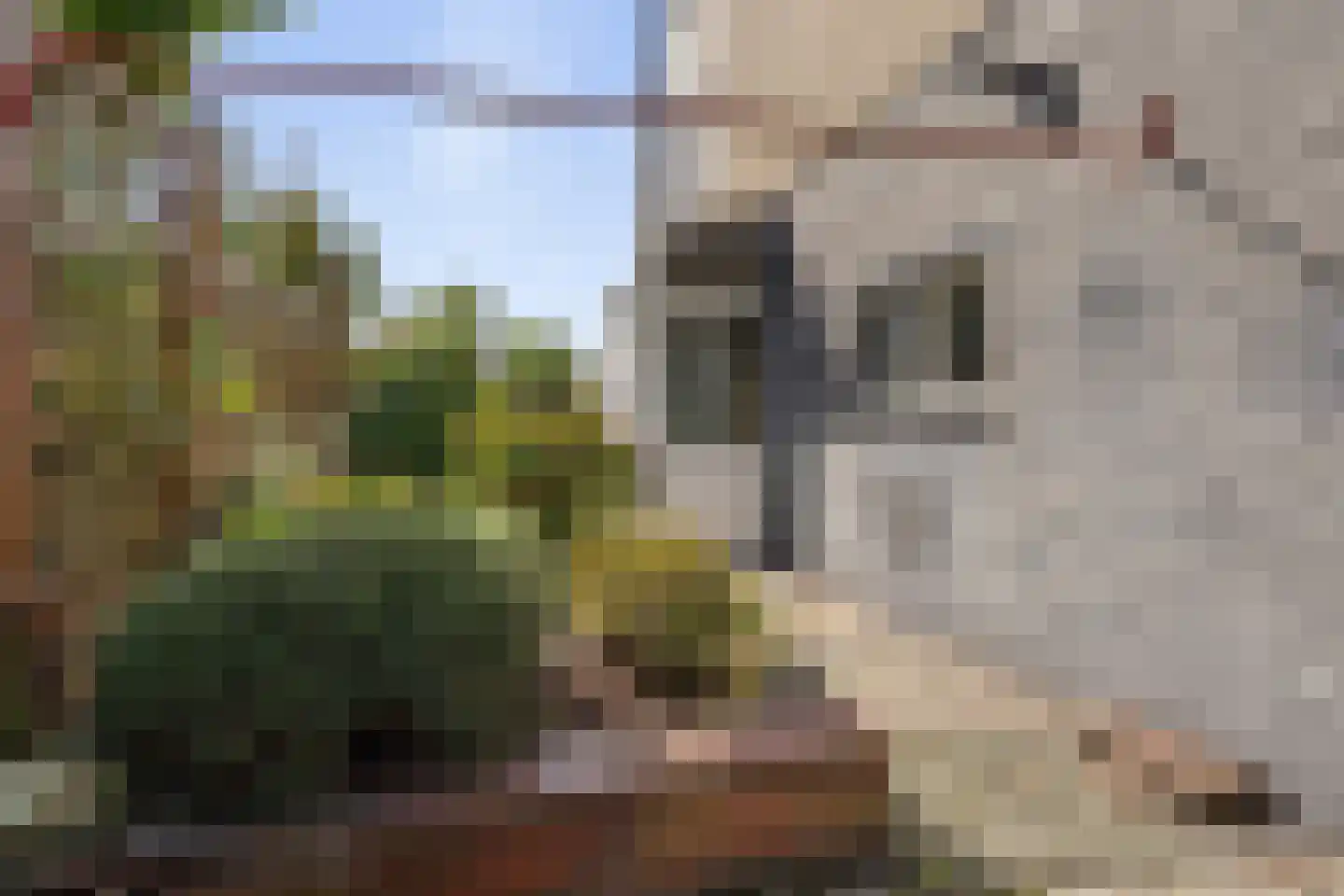 Velletriweg 30 Oudenbosch thumbnail 81