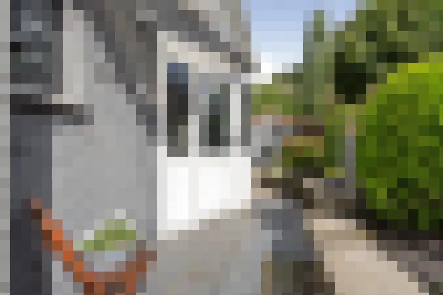 Velletriweg 30 Oudenbosch thumbnail 82
