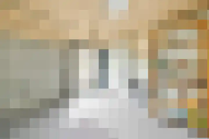Vellevest 10 Schiedam thumbnail 11